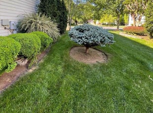 Robert S.'s landscaping services service result
