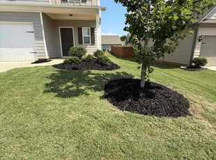 Demetrius M.'s Mulching service result