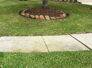Jeff B.'s lawn maintenance service result