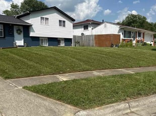 Chelsea M.'s lawn maintenance service result