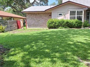 Daphne D.'s grass cutting service result