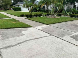 Margaret H.'s lawn care service result