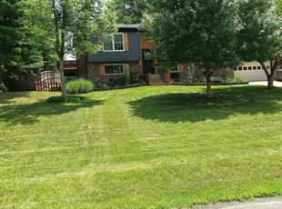 Gilberto R.'s grass cutting service result