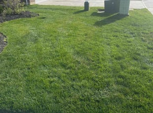 Richard G.'s lawn care service result