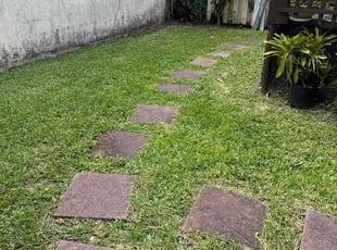 Dylan C.'s turf maintenance service result
