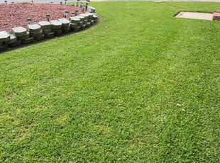 Gwen H.'s lawn care services service result