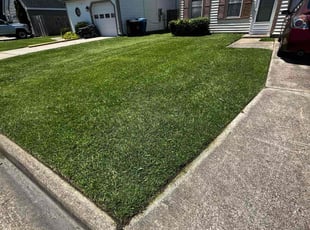 Nolan F.'s lawn maintenance service result