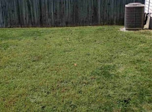 Mike M.'s turf maintenance service result