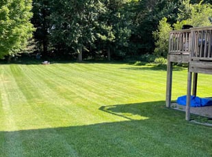 Karen T.'s lawn care services service result