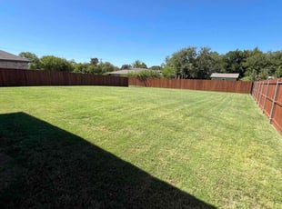 Steve M.'s grass maintenance service result