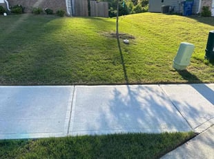 Raul A.'s turf care service result