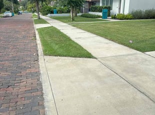 Tim W.'s yard care service result
