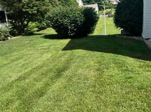Teresa L.'s lawn care service result