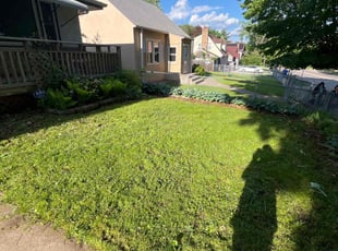 Lyle S.'s lawn care services service result