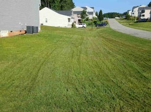 Norma R.'s lawn care services service result