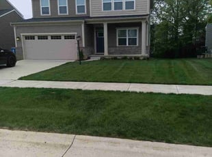 MICHAEL N.'s grass maintenance service result