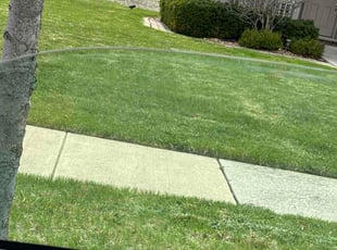 Jacob A.'s grass cutting service result