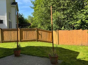 Denise K.'s turf maintenance service result