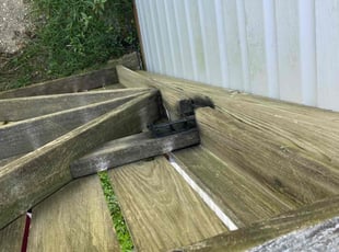 Alene K.'s grass maintenance service result