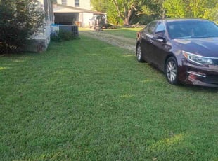 Keith K.'s turf maintenance service result