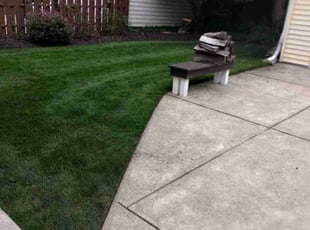 Deborah W.'s grass maintenance service result
