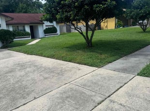 Jesca J.'s turf maintenance service result