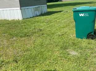 Courtney B.'s lawn maintenance service result