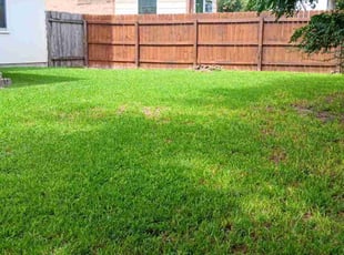 Revathy P.'s lawn service service result