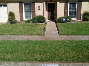 Blanche J.'s turf maintenance service result