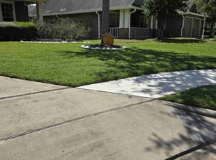 Rhanda L.'s turf maintenance service result