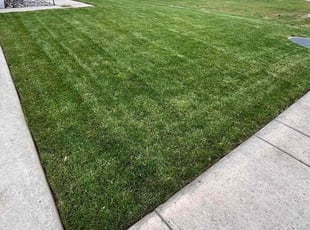Trisha M.'s lawn maintenance service result