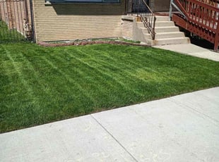Martha K.'s lawn maintenance service result