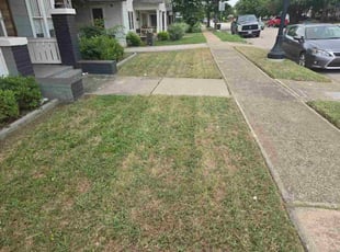 Kathyrn P.'s grass cutting service result