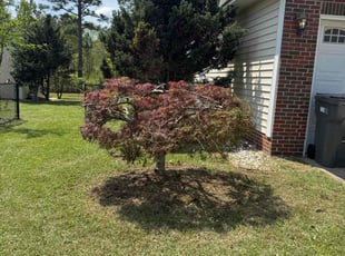 John/Jackie W.'s Bush Trimming service result