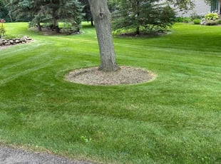 Cheryl W.'s grass cutting service result