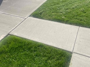 Susan S.'s lawn maintenance service result