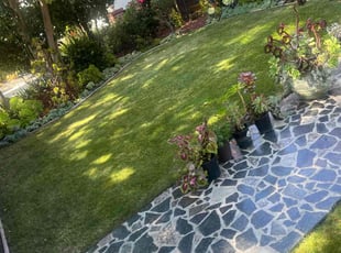 Georgeann F.'s turf maintenance service result