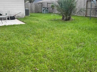 Lisa M.'s grass maintenance service result