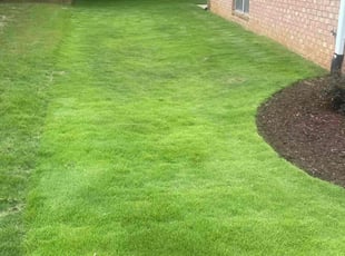 Leighton B.'s lawn service service result