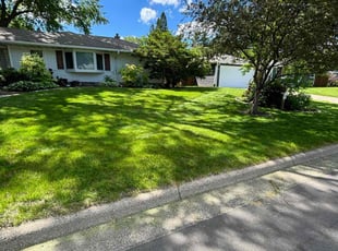 Ralph S.'s grass cutting service result