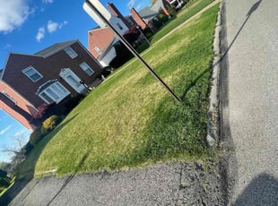 Rory D.'s grass maintenance service result