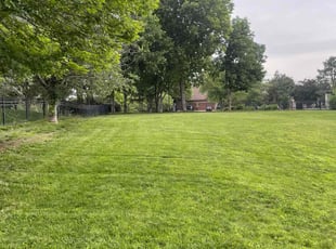 Moses M.'s lawn maintenance service result