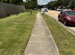 Sandy Z.'s lawn care services service result