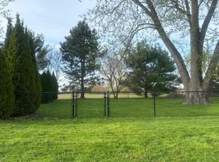 Nancy T.'s lawn service service result