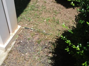 Payman F.'s Flower Bed Weeding service result