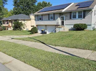 Ken B.'s grass cutting service result