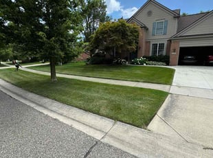 Amanda C.'s yard maintenance service result