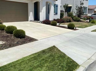 Tangiela M.'s Landscaping service result