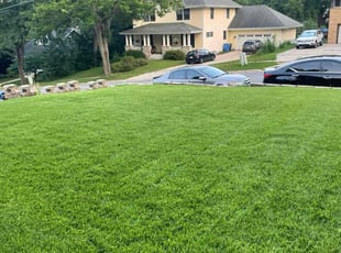 Sabria G.'s lawn care services service result