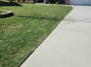 George Anna P.'s turf care service result